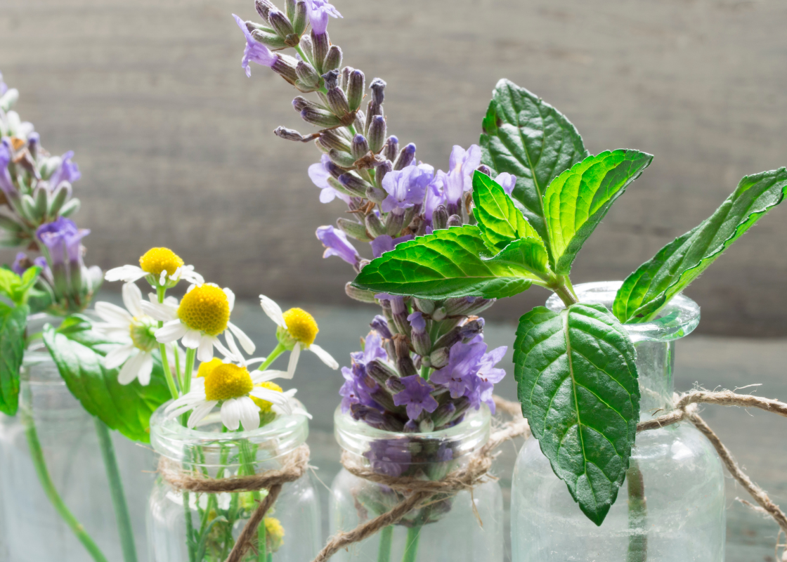 Lavender, chamomile and mint in glass jars