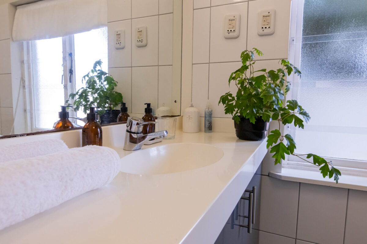 Pool Suite bathroom vanity with basin and plants