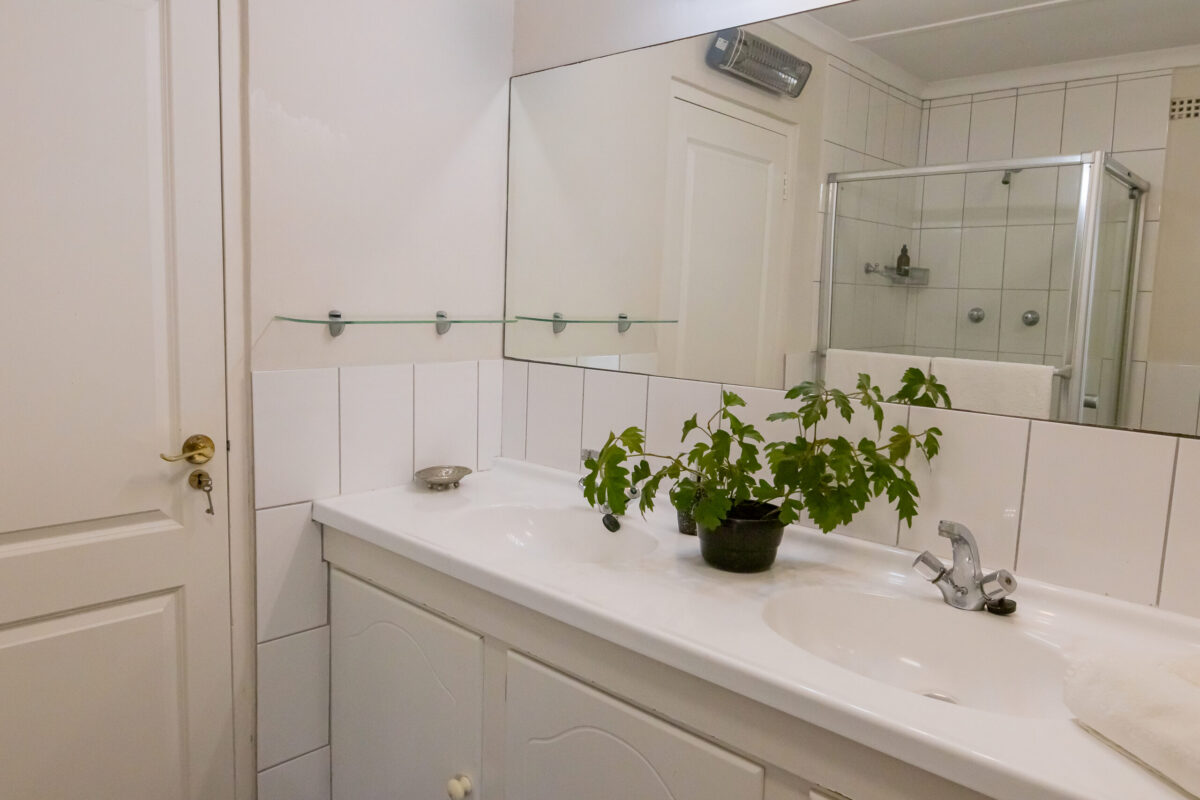 Hibiscus Suite en-suite bathroom vanity with glass shower